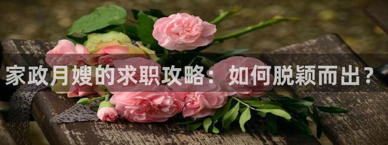 杏悦官网登录入口网址