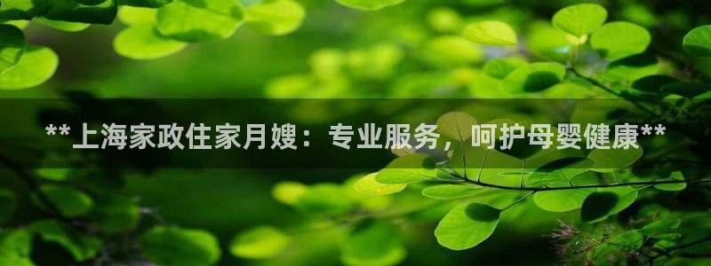 杏悦平台代理注册流程