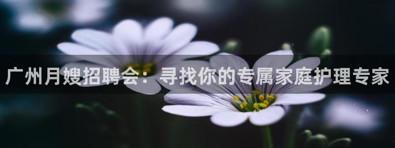 杏悦娱乐注册平台有哪些