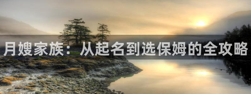 杏悦平台登录网址查询