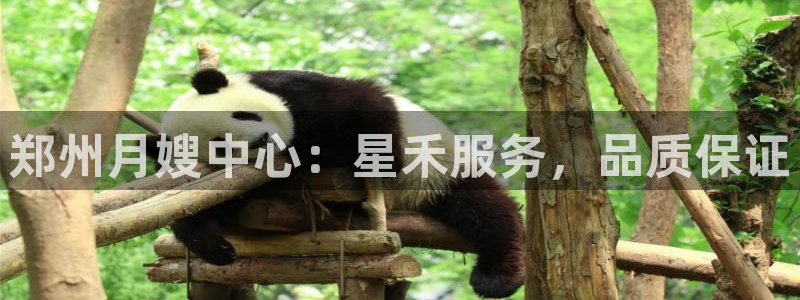 杏悦平台如何注册账号