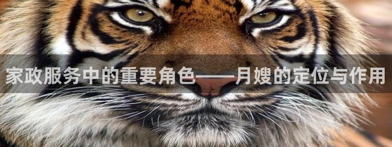 杏悦平台开户地址在哪里