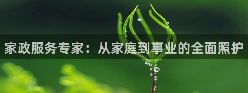 杏悦平台官网注册