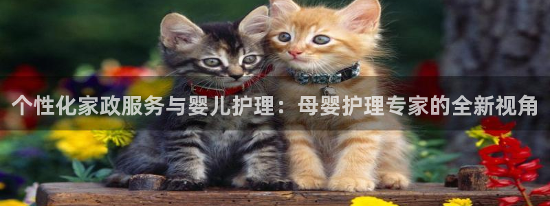 杏悦官网注册信息在哪里找