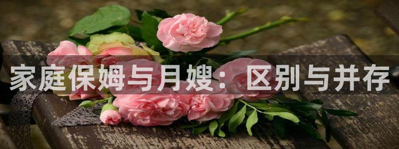 杏悦娱乐注册平台