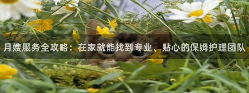 杏悦平台可靠吗是真的吗知乎