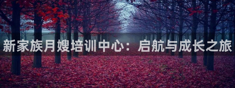 杏悦平台招商电话号码