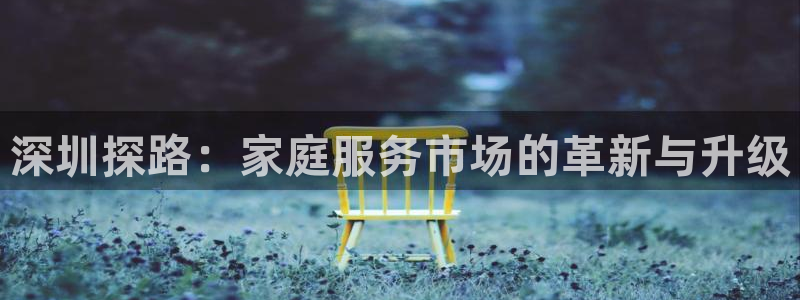 杏悦平台登录网址查询