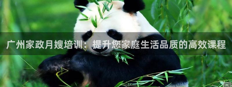 杏悦官网登录入口网址