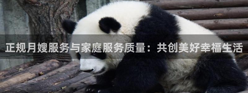 杏悦娱乐注册平台