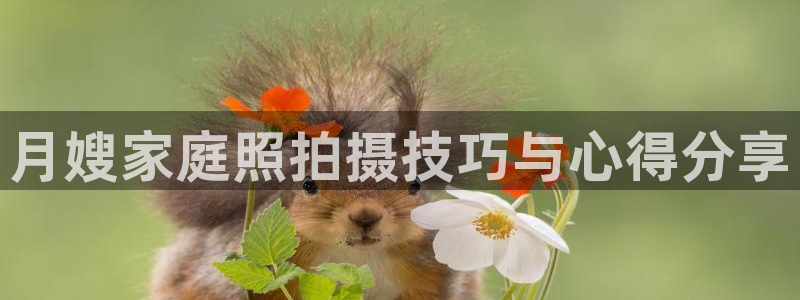 杏悦平台官网注册