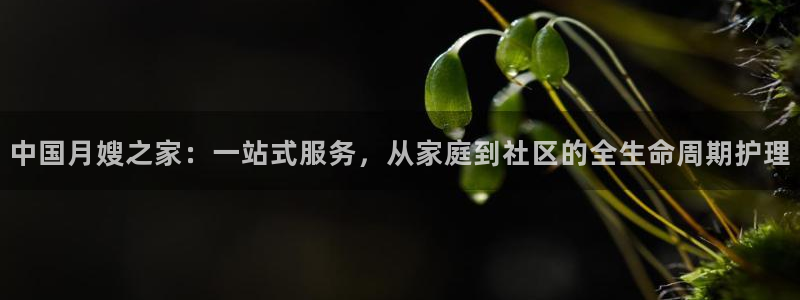 杏悦平台招商怎么样