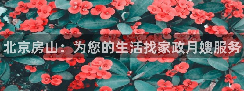 杏悦官网注册信息是什么样的