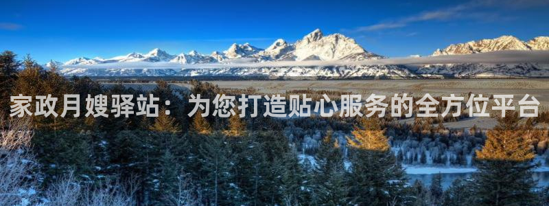 杏悦平台登录网址是什么